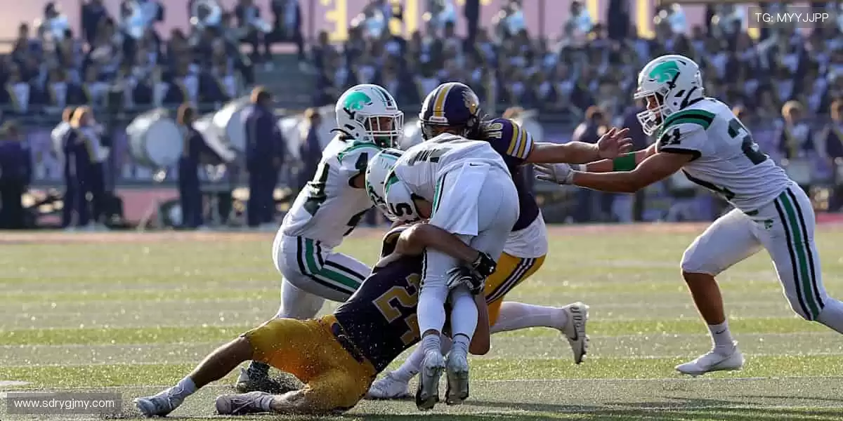 把热爱穿在身上,让每一件周边都成为你的骄傲!👕